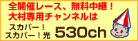 �饤��245
